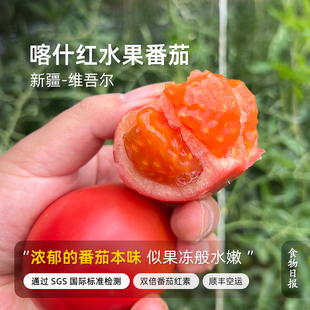 食物日报新疆喀什红水果番茄水嫩爆汁浓郁番茄味非铁柿子草莓番茄