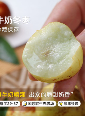 牛奶冬枣国家级生态农场