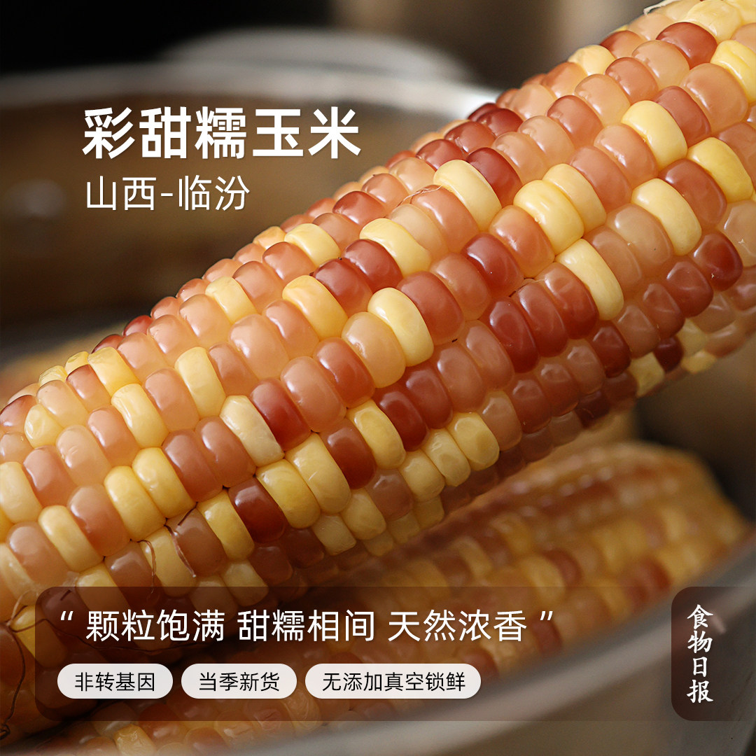 食物日报山西花糯玉米彩甜小玉米当季新鲜采摘真空装孕妇即食早餐