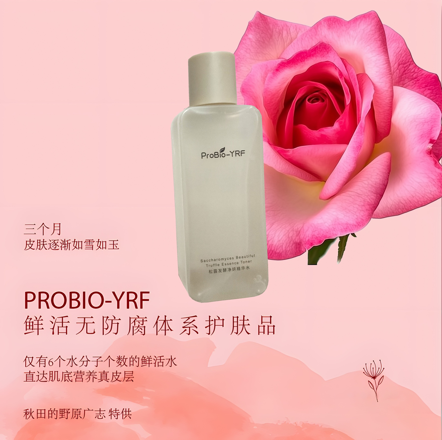 青少年纯净肌肤护理probio-yrf 松露发酵净妍水 乳酸菌洁颜乳