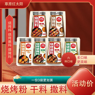 草原红太阳烧烤韩式烤肉原味蘸料香辣新奥尔良煨腌料九田家干粉料