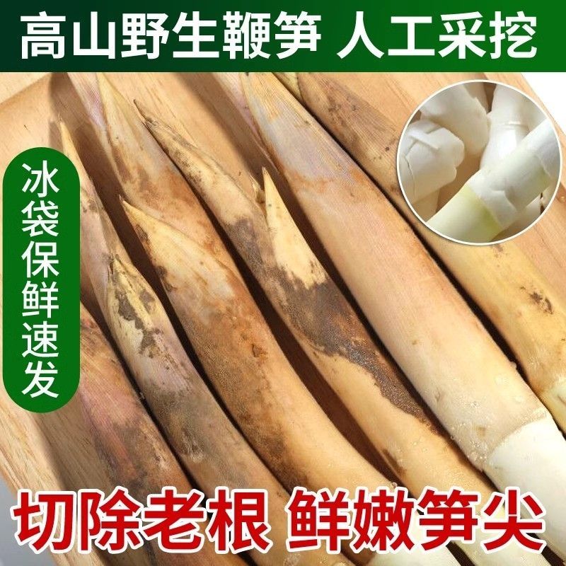 新鮮蔬菜野生鞭筍現(xiàn)挖夏筍春筍蘆筍鮮嫩馬鞭筍邊筍火鍋菜包郵