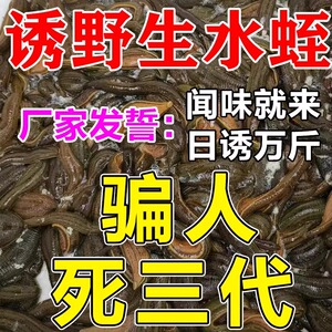 水蛭诱捕剂池塘黑坑捕捉水蛭蚂蟥诱饵神器水蛭专用诱捕饵料诱捕器
