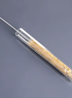 试管刷 小号/中号/大号 毛刷 塑料瓶刷 玻璃试管刷实验室用刷子