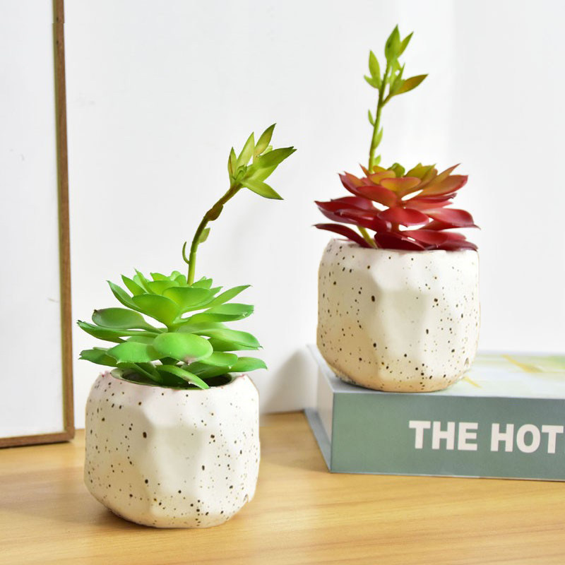 仿真多肉植物组合盆栽 假花绿植装饰 家居室内迷你小摆件仙人掌