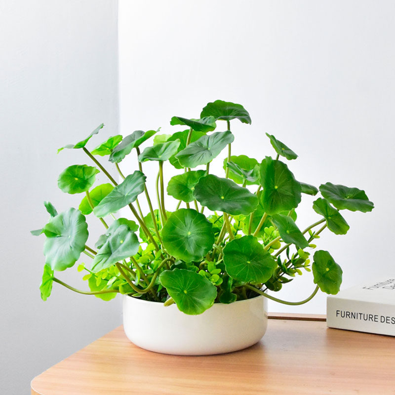 仿真多头铜钱草假花 家居装饰品客厅餐厅插花花艺绿植 绢花花束,鲜花速递/花卉仿真/绿植园艺,仿真绿植,淘宝优惠券,粉丝福利购,淘宝优惠卷