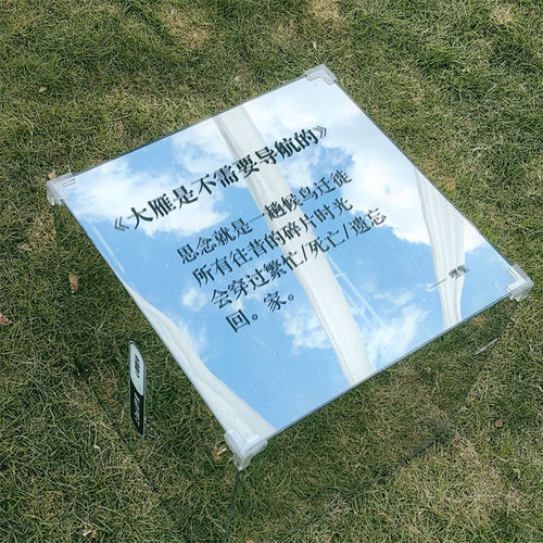 理医诗镜子摄影道具网红户外拍照道具无边框椭圆形浴室镜免打孔