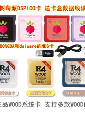新品DSPICO和R4烧录卡NDS烧录卡