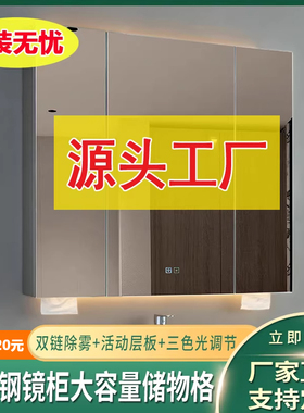 智能浴室镜柜卫生间镜子带灯收纳镜面柜不锈钢镜柜挂墙式单独定制