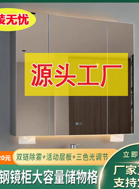 不锈钢浴室镜柜挂墙式带灯镜面柜