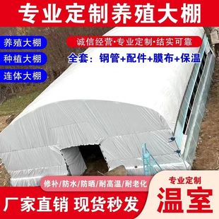 温室大棚蔬菜保温种植养殖棚养猪牛羊养鸡鸭鹅椭圆管圆管大棚全套