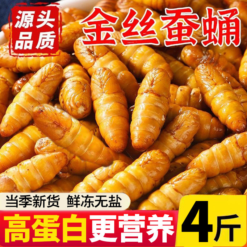 蚕蛹鲜活新价金丝山东特产