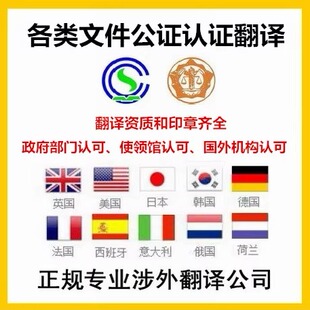 涉外诉讼送到翻译证据翻译法庭证据翻译涉外翻译资质二十年经验