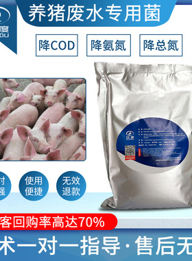 甘度养猪污水处理专用菌复合降COD总氮氨氮硝化菌活性净水微生物