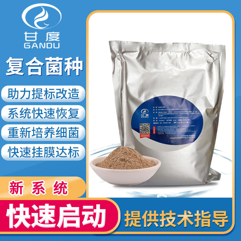 甘度复合污水菌种一体机设备调试