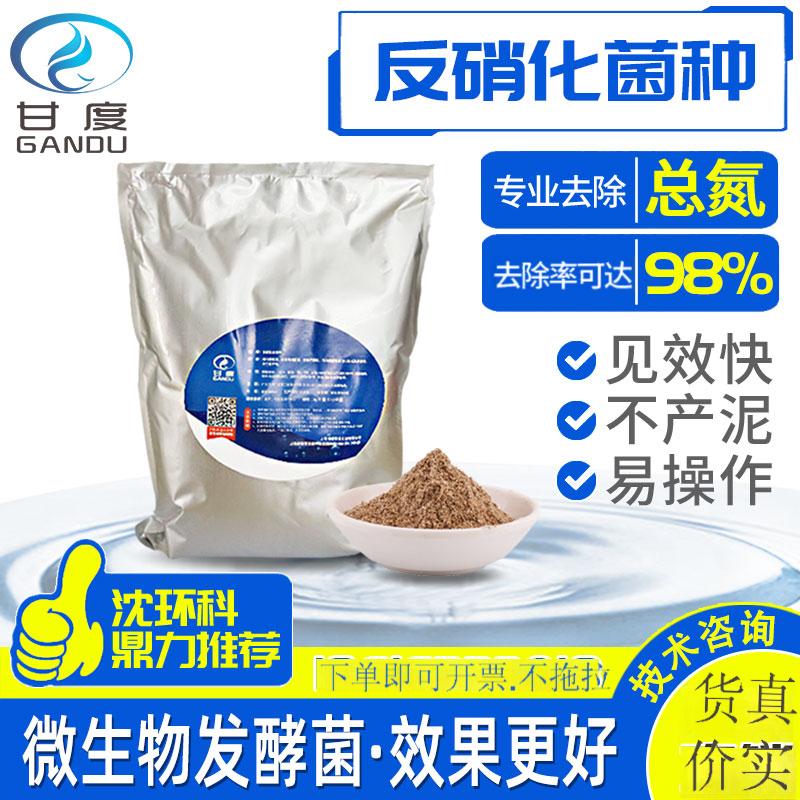 甘度污水反硝化菌种高效降解总氮