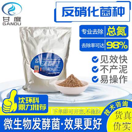 污水处理甘度反硝化细菌微生物活性菌总氮去除剂废水生化厌氧菌种