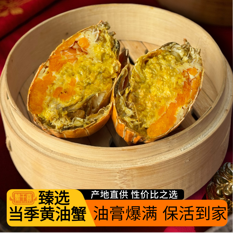鲜活黄油蟹野生特大膏油蟹送礼5-6两/只蟹场直发顺丰包活海鲜礼盒