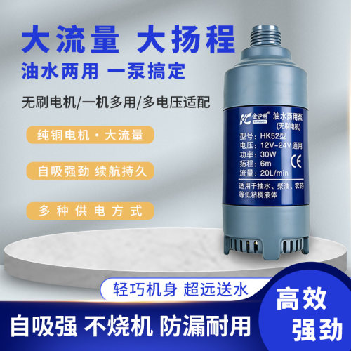 12v24v通用无刷潜水泵