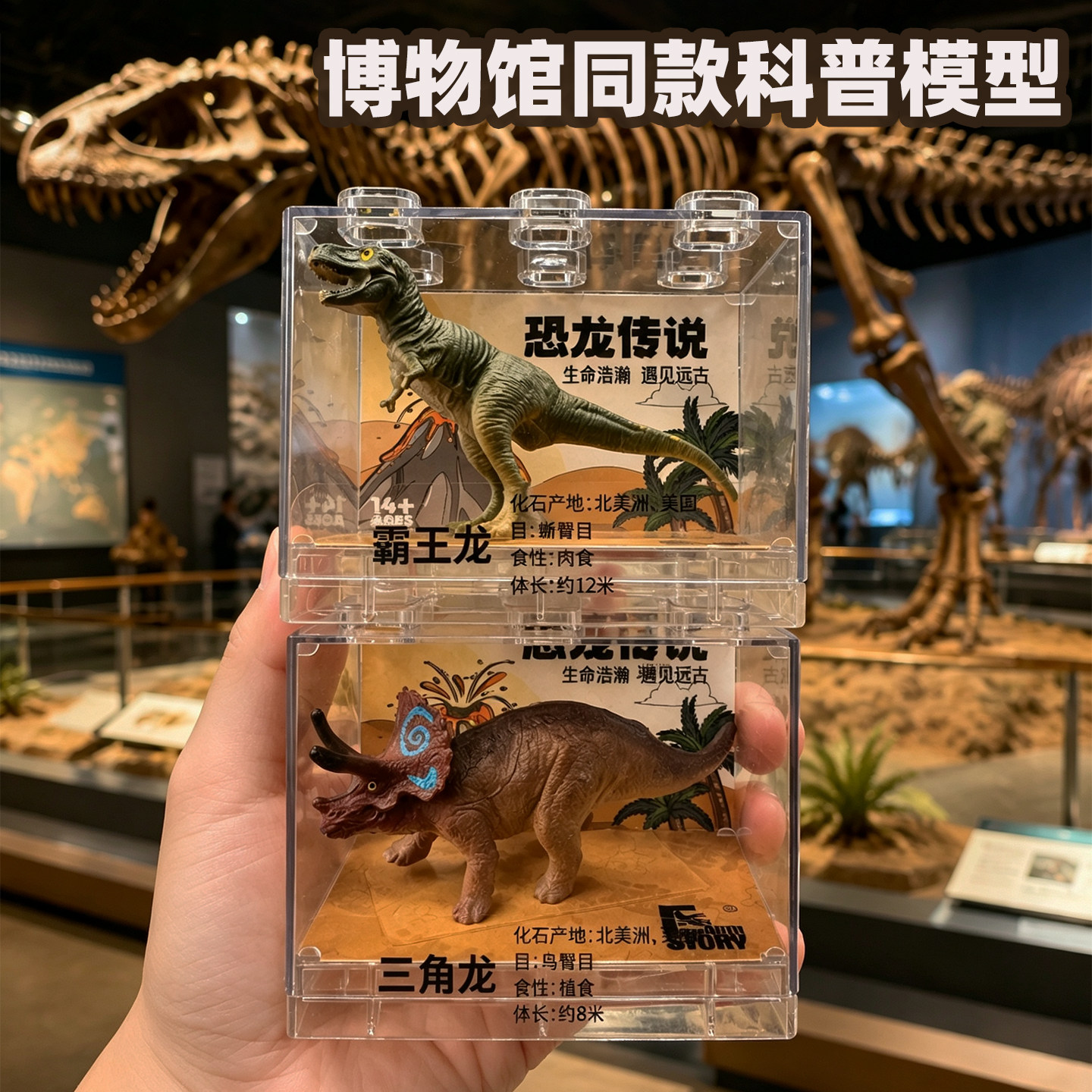 博物馆同款纪念品迷你仿真恐龙模型玩具亚克力男孩生日礼物伴手礼