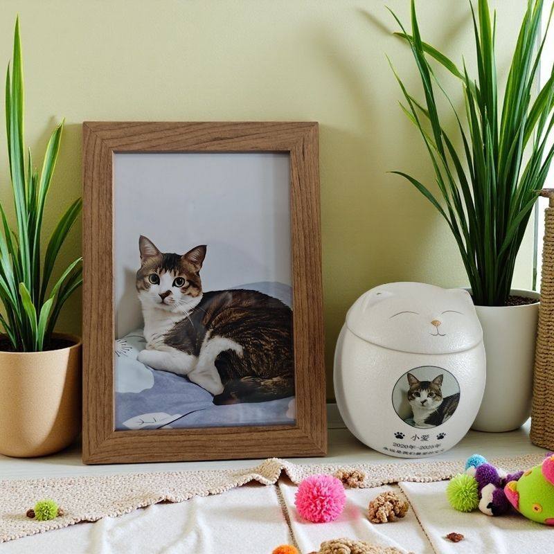 宠物猫咪狗狗专用陶瓷密封罐定制刻字纪念盒,宠物/宠物食品及用品,宠物衣架,淘宝优惠券,粉丝福利购,淘宝优惠卷