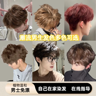 植物正品 专用黑茶盖白发冷棕在家染发膏剂流行免漂树莓红显白 男士