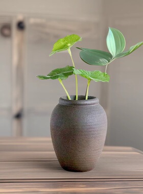 水培小花瓶陶瓷复古风桌面绿植含