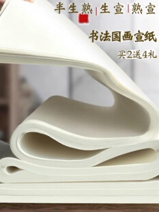 宣纸书法专用纸半生半熟生宣熟宣国画纸四尺整张对开三开半开4尺六三尺6工笔画写毛笔字的练习作品纸小学生