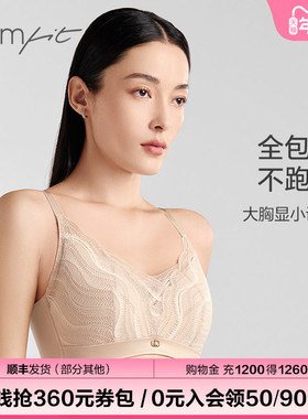 【自在杯】Comfit大胸显小内衣女无钢圈大码夹碗文胸CBW0176