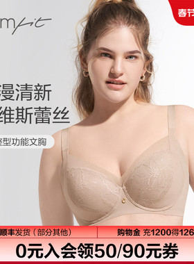 安莉芳旗下Comfit大胸调整型文胸女收副乳上托聚拢薄内衣CB00154