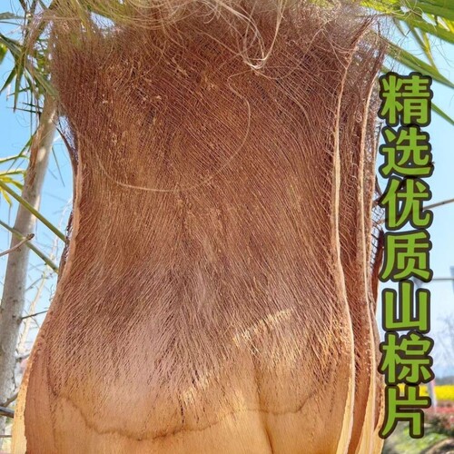 棕树皮棕榈叶山棕片鱼苗孵化绿萝棒园林花卉屋顶装饰包水管耐用