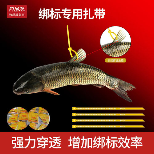 尖尾扎带钓场帮绑标鱼专用扎线