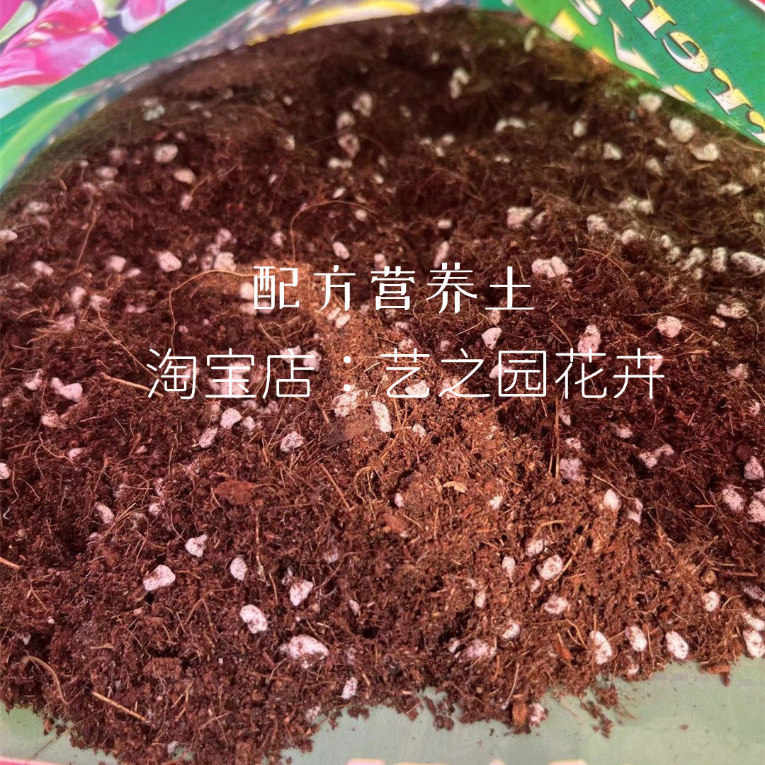 通用营养土  种花种菜专用的种植土  含松叶腐殖土+进口泥炭土