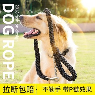 Dog leash walk dog leash golden retriever labrador P chain p