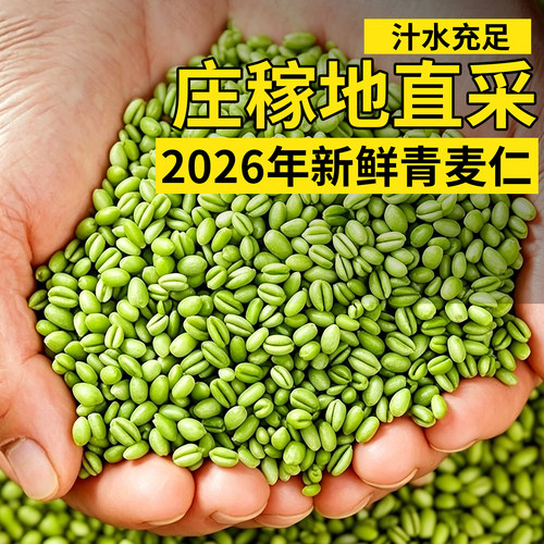 【2026当季头茬新货】青麦仁胚芽