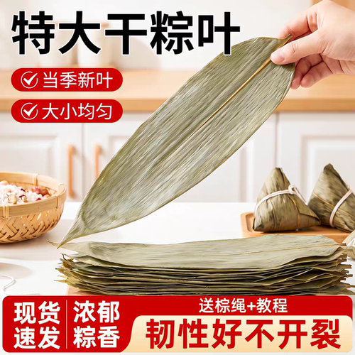 新货干粽叶端午家用包粽子材料