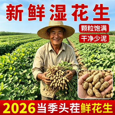 2026年新鲜湿花生现挖湿花生薄壳带泥粉皮鲜生花生带壳水煮可生吃
