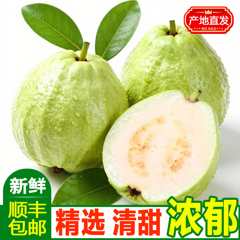 增城特产白心奶油芭乐精选老树果脆甜孕妇低脂水果珍珠芭乐石榴