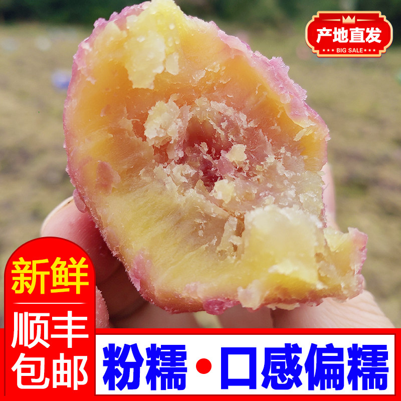 正宗南沙一点红番薯粉糯老品种新番薯