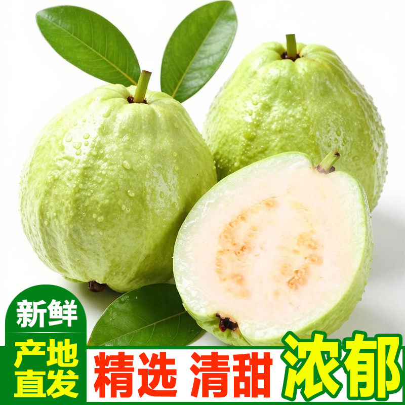 增城特产白心奶油芭乐精选老树果脆甜孕妇低脂水果珍珠芭乐石榴