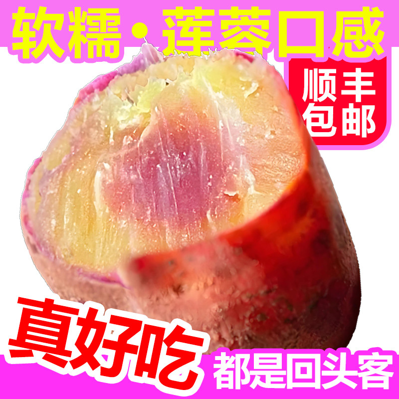 正宗南沙一点红番薯香甜糯广州红心蜜薯新鲜烤花心红薯沙地种植