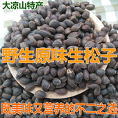 四川野生原味华山生松子大凉山不开口大颗粒松籽新鲜干货孕妇坚果