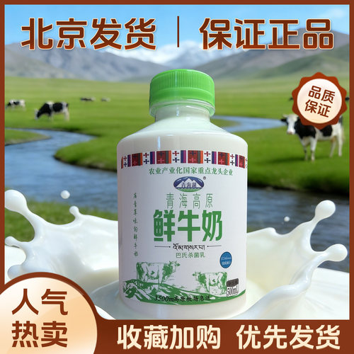 包邮 青海湖青海高原鲜牛奶500ml*4巴氏杀菌鲜奶营养早餐奶
