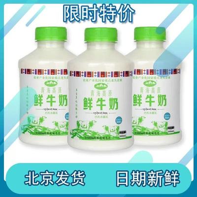 青海湖青海高原鲜牛奶500ml巴氏杀菌鲜奶儿童营养低温早餐奶包邮