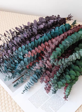 尤加利叶永生花干花仿真花假花摆设客厅餐桌装饰花束