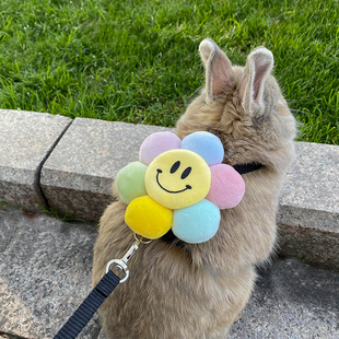 侏儒兔牵引绳超小型防挣脱龙猫溜兔子专用衣服可调节外出遛荷兰猪