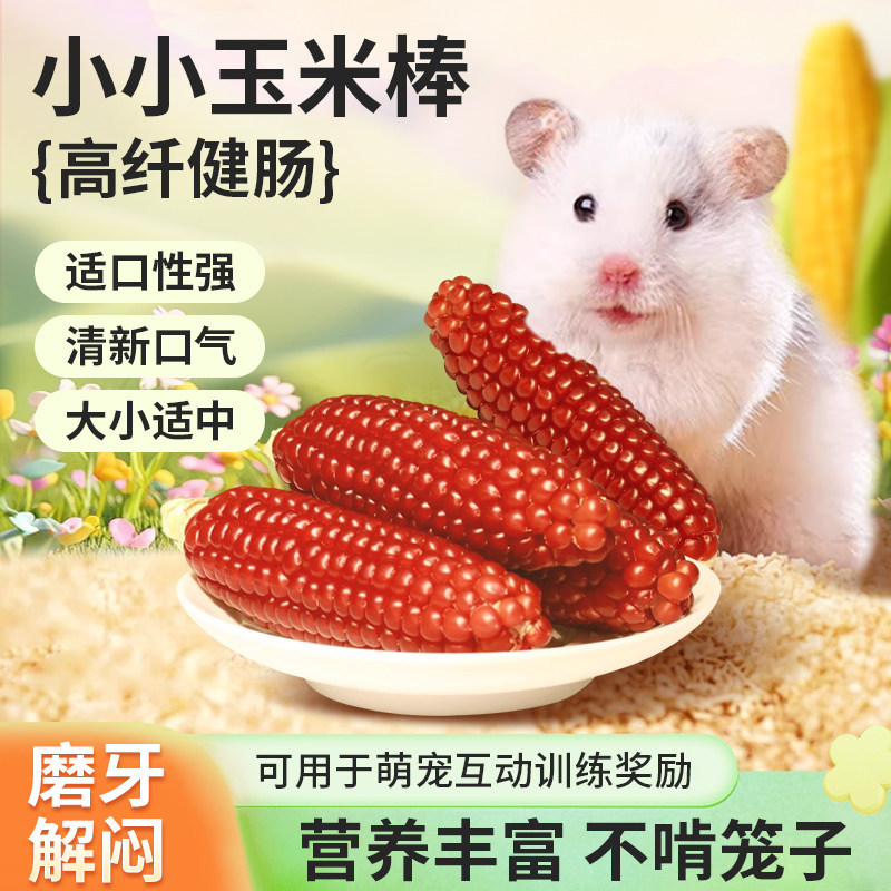 仓鼠玉米棒磨牙棒香糯天然纤维龙猫豚鼠磨牙玩具解压解闷宠物用品,宠物/宠物食品及用品,玩具/造景装饰,淘宝优惠券,粉丝福利购,淘宝优惠卷
