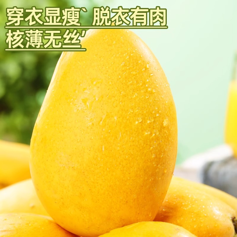 云南小台农芒果新鲜现摘小台芒应当季热带水果特产芒果包邮