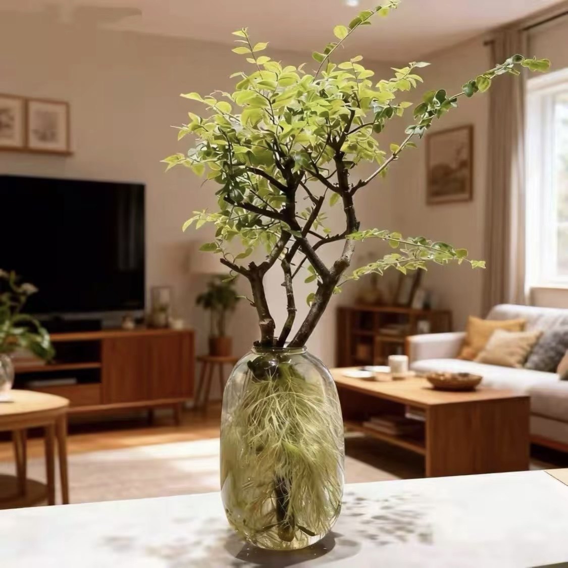 水培毛叶丁香小叶女贞鲜切枝室内茶台桌面易活绿植四季,鲜花速递/花卉仿真/绿植园艺,绿植,淘宝优惠券,粉丝福利购,淘宝优惠卷