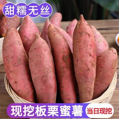 新鲜蜜薯10斤板栗红薯沙